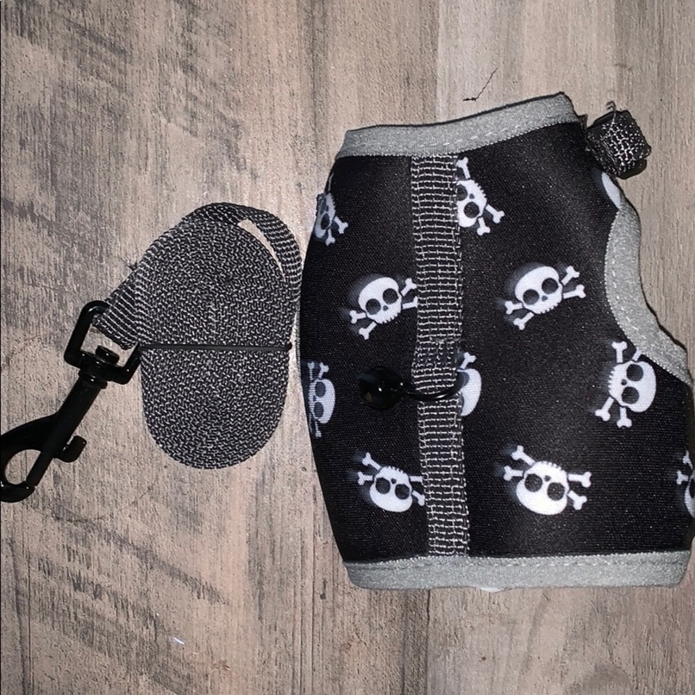 little pet leash and harness